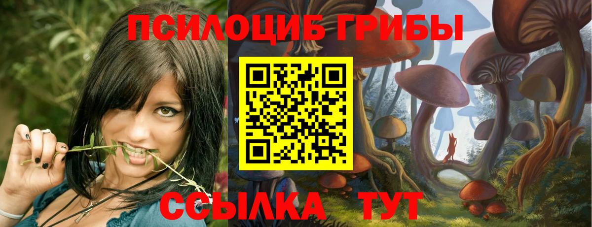 Псилоцибиновые грибы мицелий  Вход с VPN  Сосновый Бор 